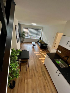 Hotels in Schiedam